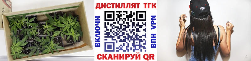 blacksprut ONION  закладка  Хилок  Дистиллят ТГК вейп 